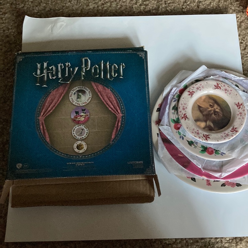 Loot crate exclusive Harry Potter cat plates